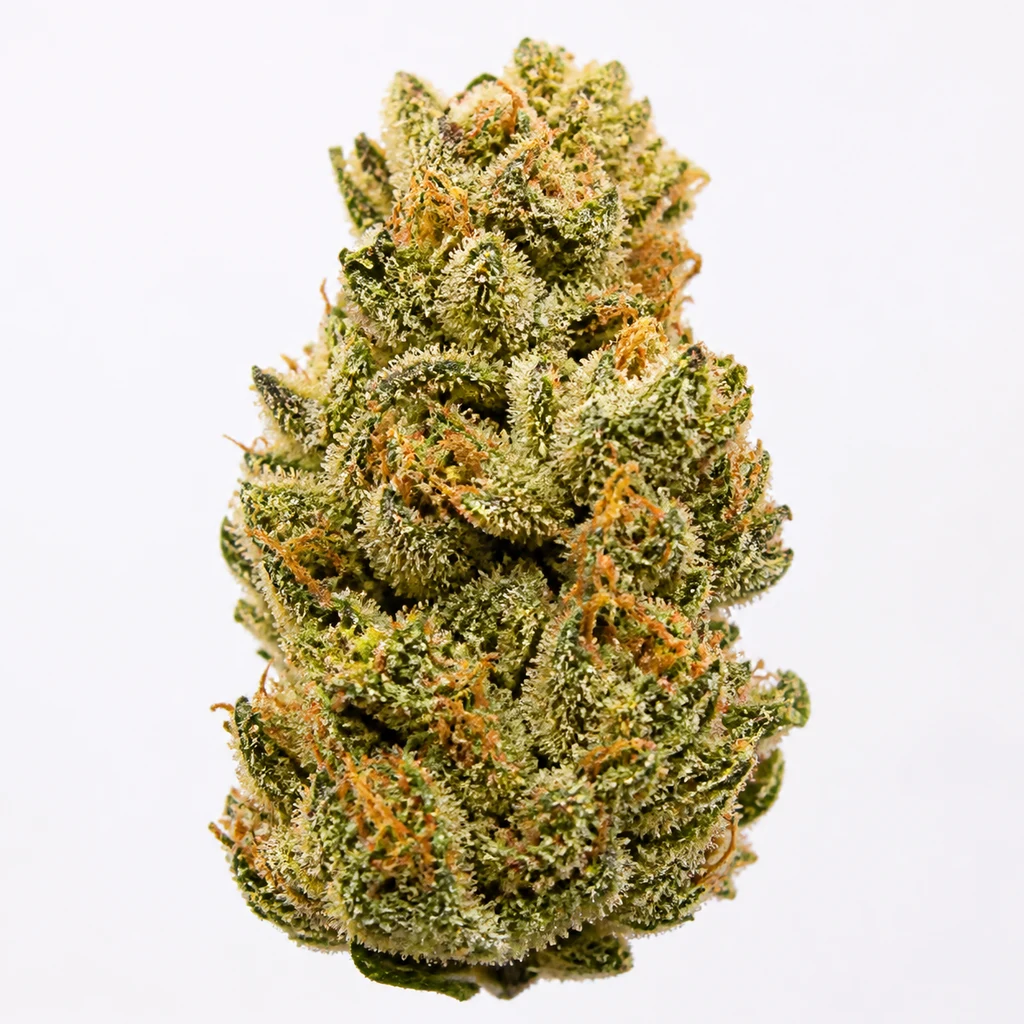 Ilustración de un cogollo verde con pistilos anaranjados y superficie escarchada para la ficha de Honey Melon Kush Auto, sobre fondo blanco.