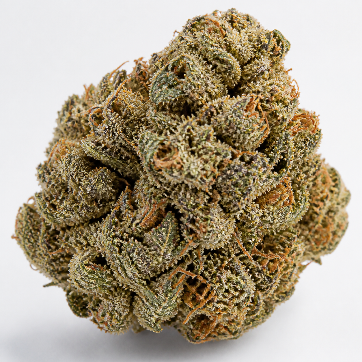 Primer plano de un cogollo de L.A. Amnesia Feminizada, con hojas verdes, filamentos anaranjados y abundantes puntos blanquecinos.