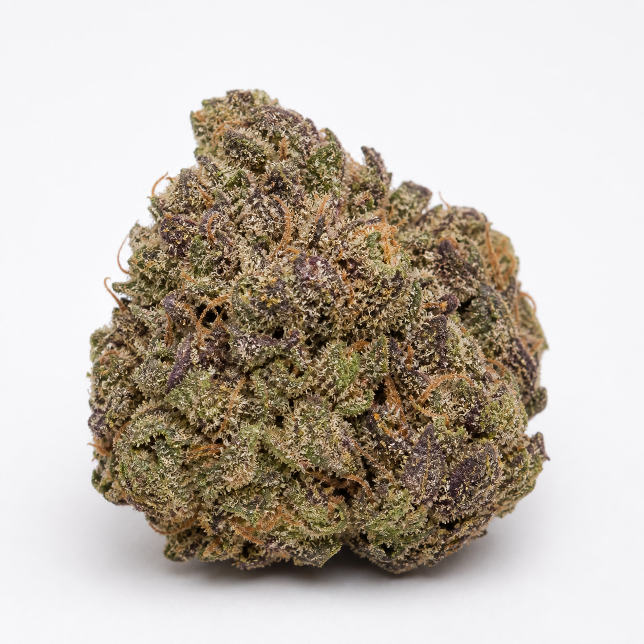 Cogollo de Lavender Feminizada de Soma Seeds sobre fondo blanco, con zonas verdes y moradas, filamentos anaranjados y una densa cobertura de tricomas.