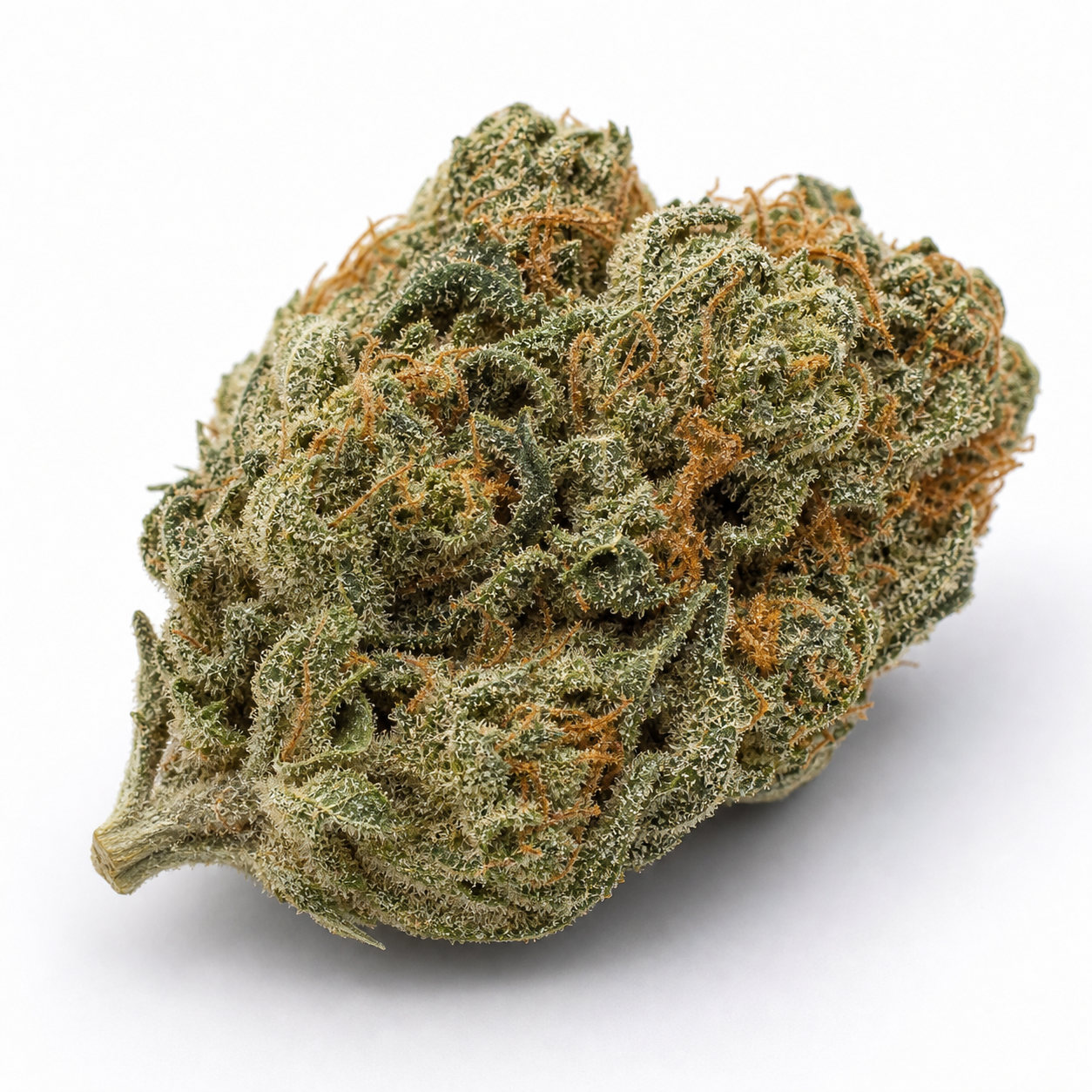 Primer plano de un cogollo de 00 Kush Auto de 00 Seeds, con tonos verdes, filamentos anaranjados y abundantes tricomas sobre fondo blanco.