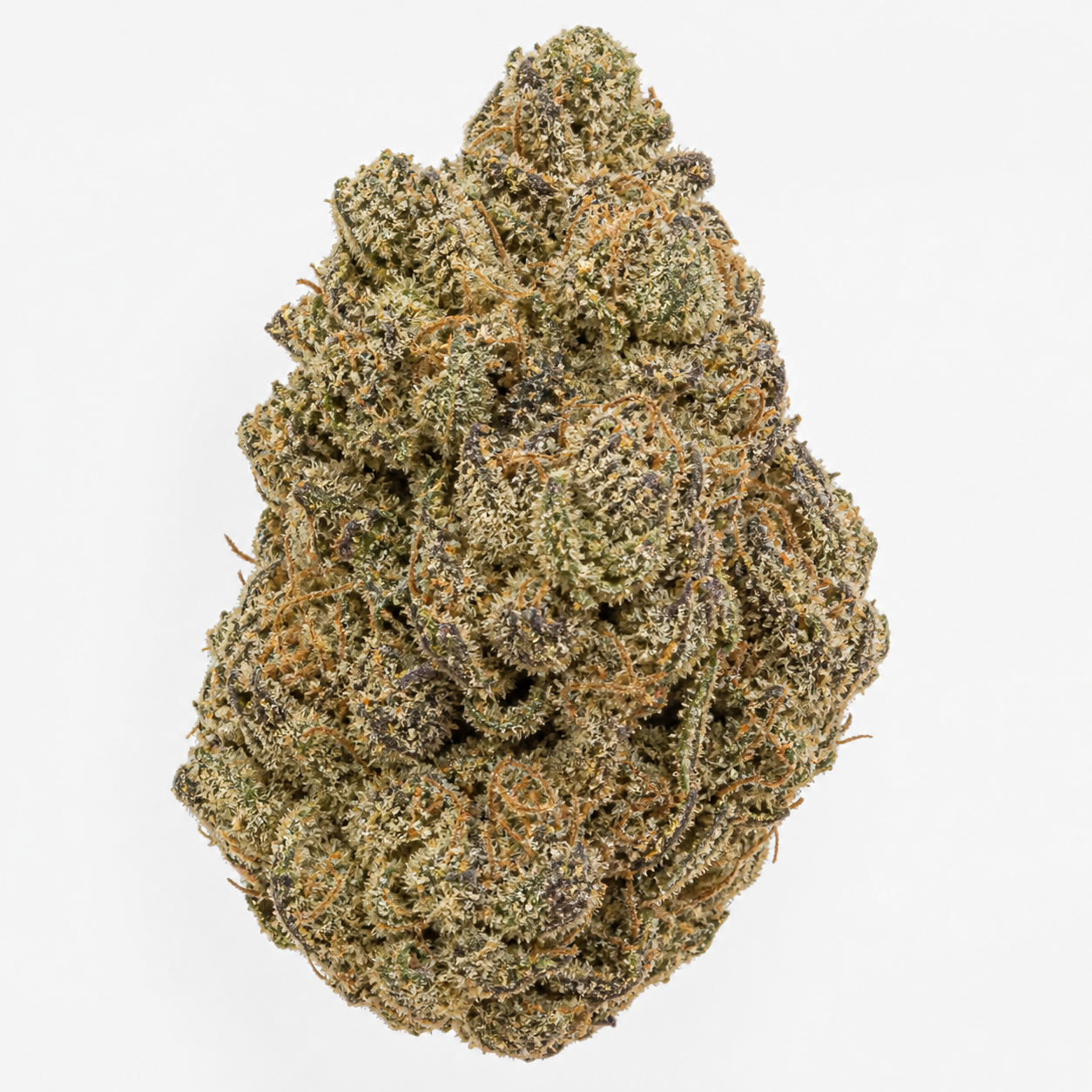 Cogollo de Auto Bubble de Female Seeds sobre fondo blanco, de forma compacta y alargada, con pistilos anaranjados y zonas violáceas.