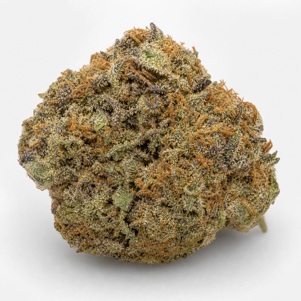 Cogollo de Auto Purple de Pyramid Seeds en primer plano, de forma redondeada, con tonos verdes y morados y filamentos anaranjados.