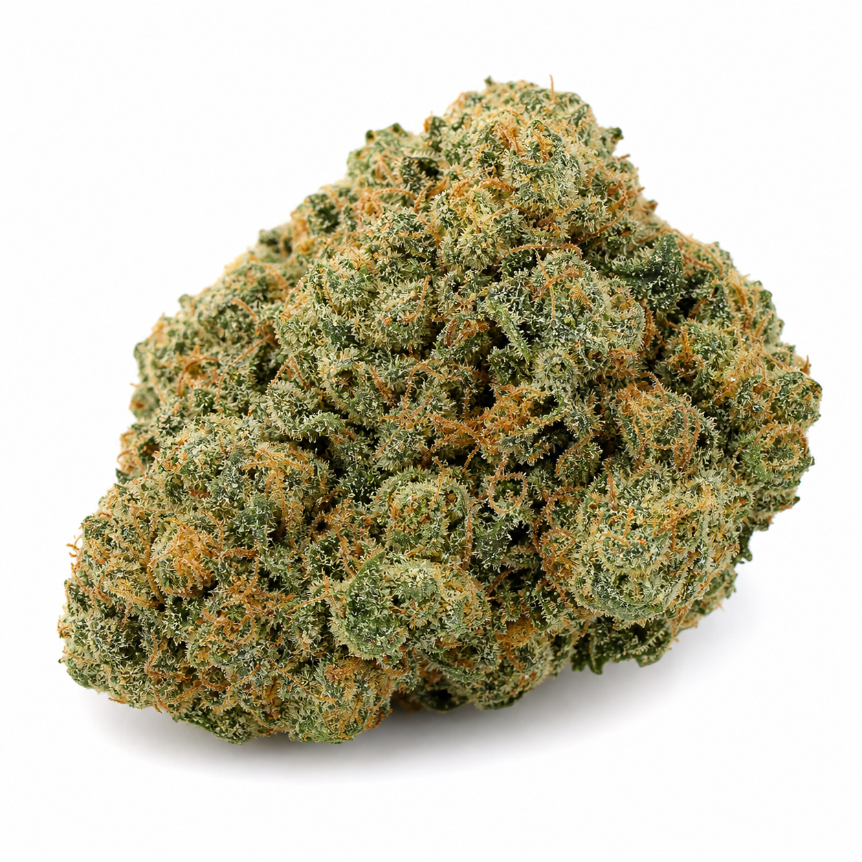 Cogollo de Black Bomb Feminizada de Philosopher Seeds, verde y compacto, con pistilos naranjas y abundantes tricomas sobre fondo blanco.
