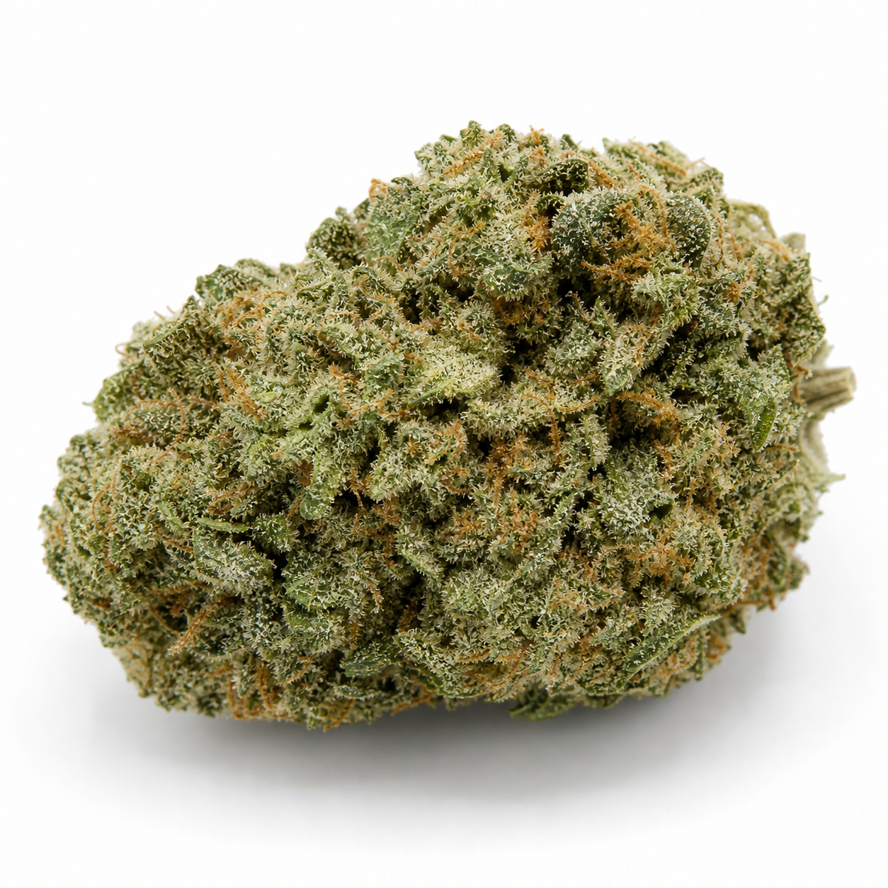 Cogollo de Grapefruit de Female Seeds en primer plano, con estructura compacta, tonos verdes y filamentos anaranjados sobre fondo blanco.