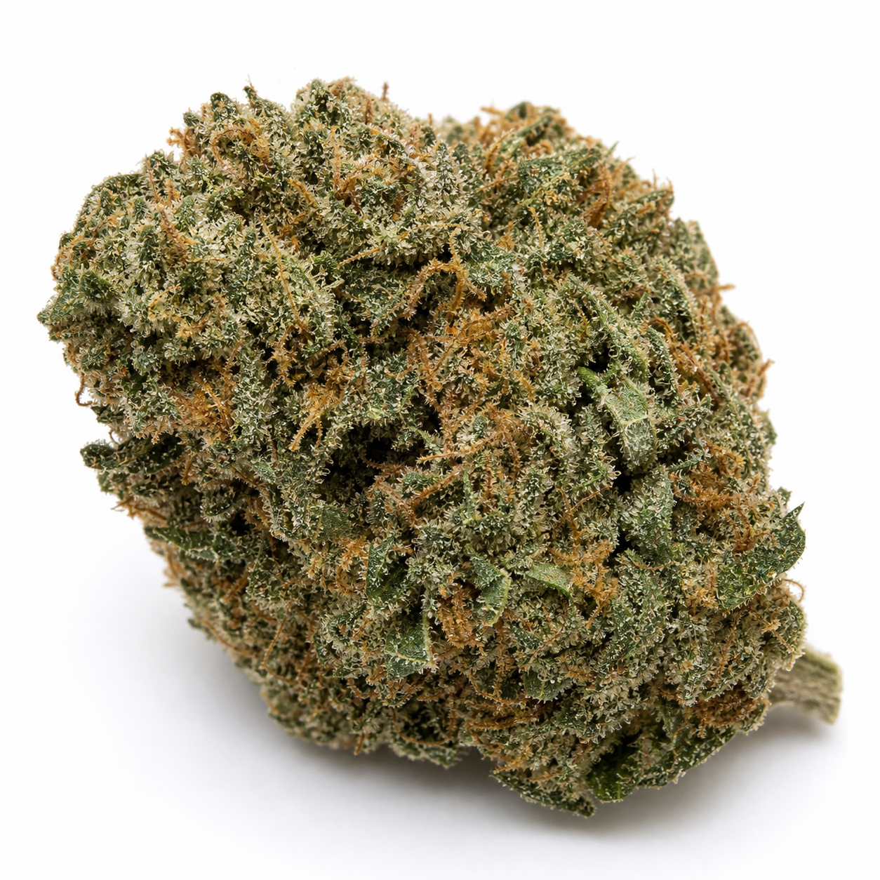 Cogollo de Fruity Jack ancho y redondeado, con pequeñas hojas verdes, abundantes pistilos anaranjados y tricomas sobre fondo blanco.