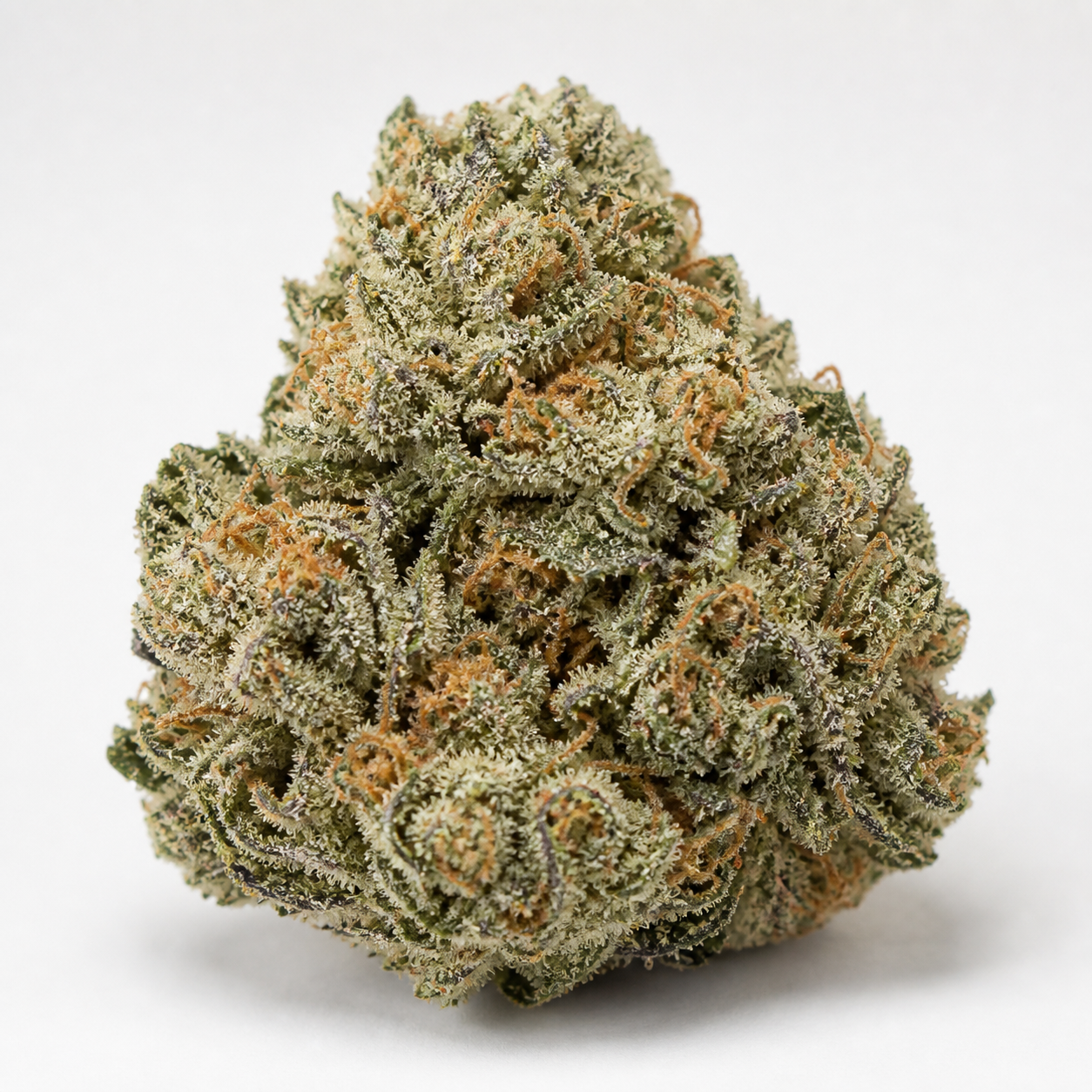 Cogollo de Painkiller de Dr. Underground en primer plano, con forma cónica, tonos verdes, filamentos anaranjados y abundantes tricomas.