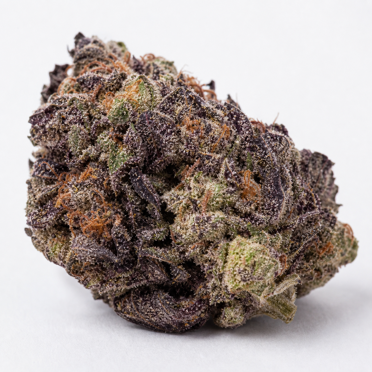 Cogollo de Purple Maroc Feminizada en primer plano, con hojas moradas y verdes, filamentos anaranjados y cobertura blanquecina sobre fondo blanco.