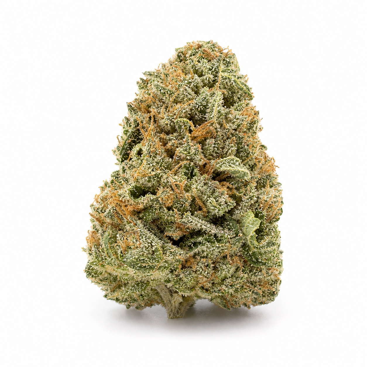Cogollo de Skunk Special de Female Seeds en primer plano, con hojas verdes, filamentos anaranjados y abundantes tricomas claros.