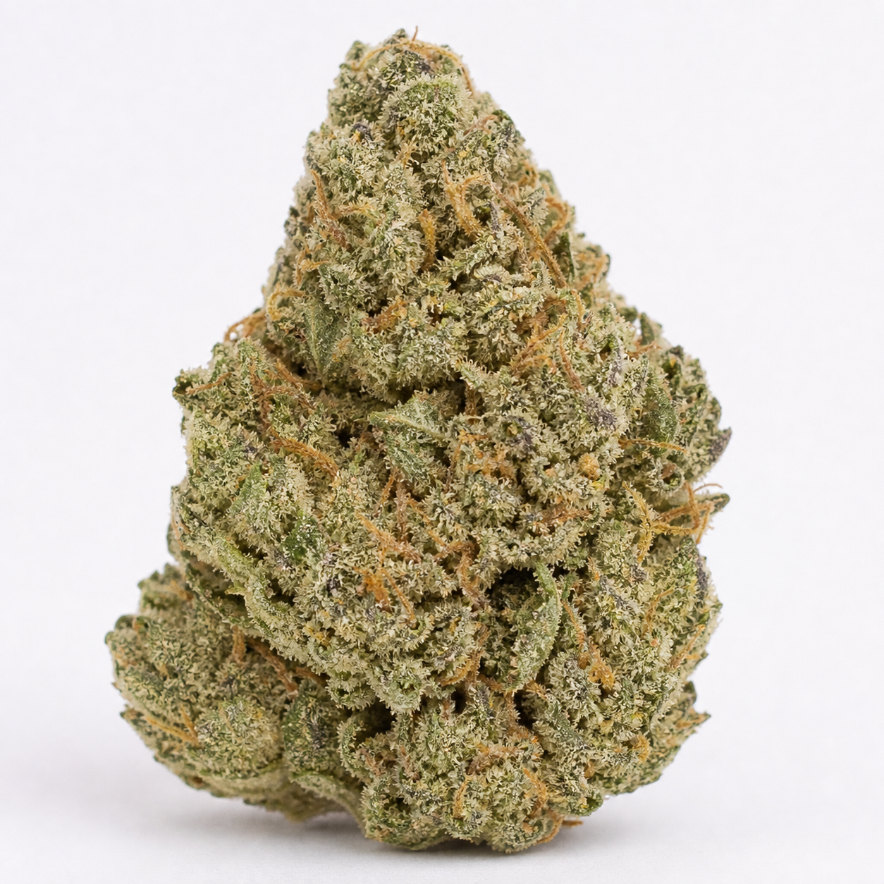 Cogollo de Somango Widow de Advanced Seeds en primer plano, con tonos verdes, filamentos anaranjados y superficie blanquecina.