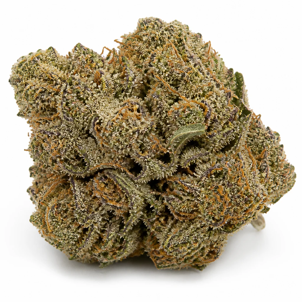 Ilustración de un cogollo para la ficha de Mix Pack Fem de Fast Buds, con hojas verdes y moradas y filamentos anaranjados.