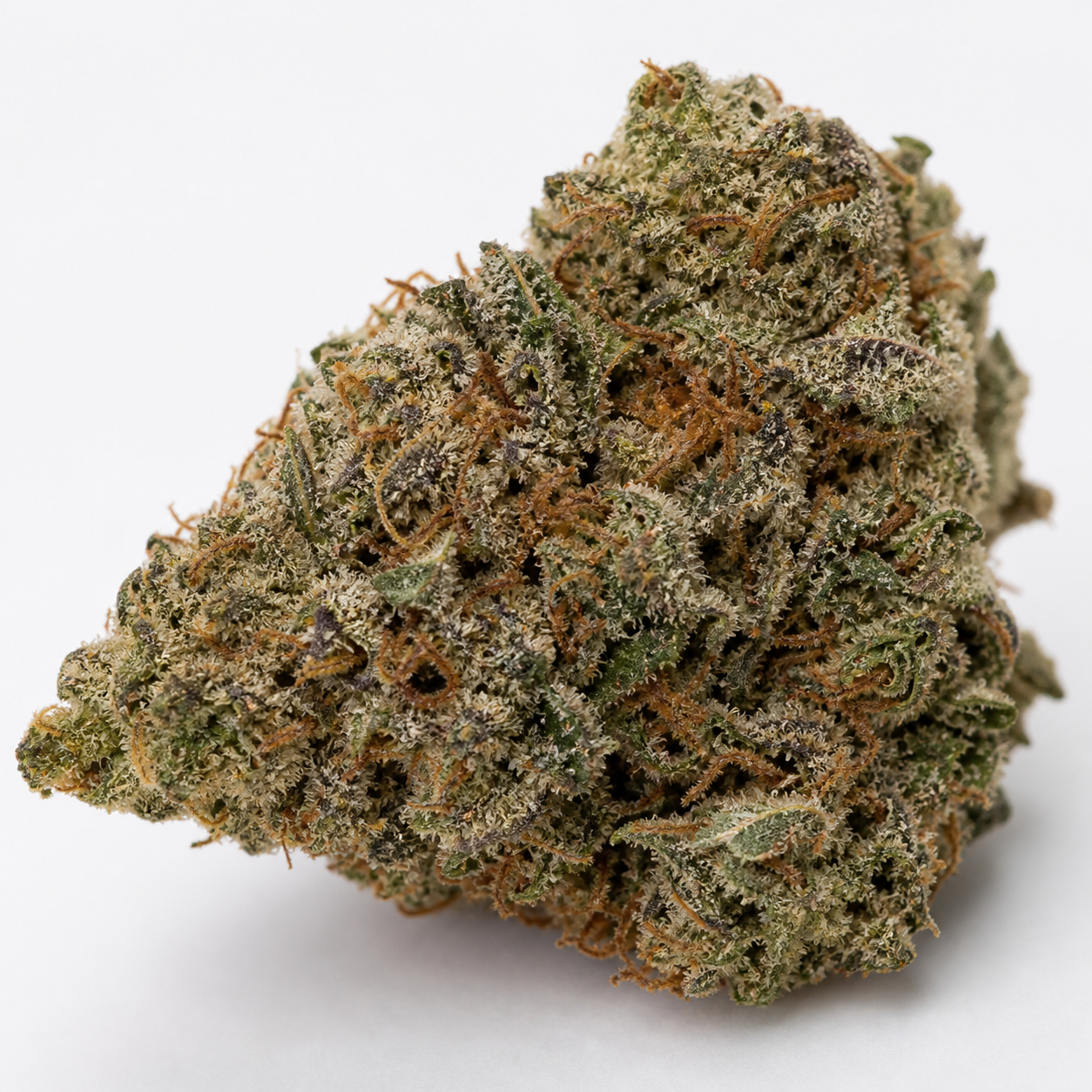 Cogollo de Moby Dick Auto de perfil triangular, con hojas verdes y oscuras, filamentos anaranjados y abundantes tricomas sobre fondo blanco.