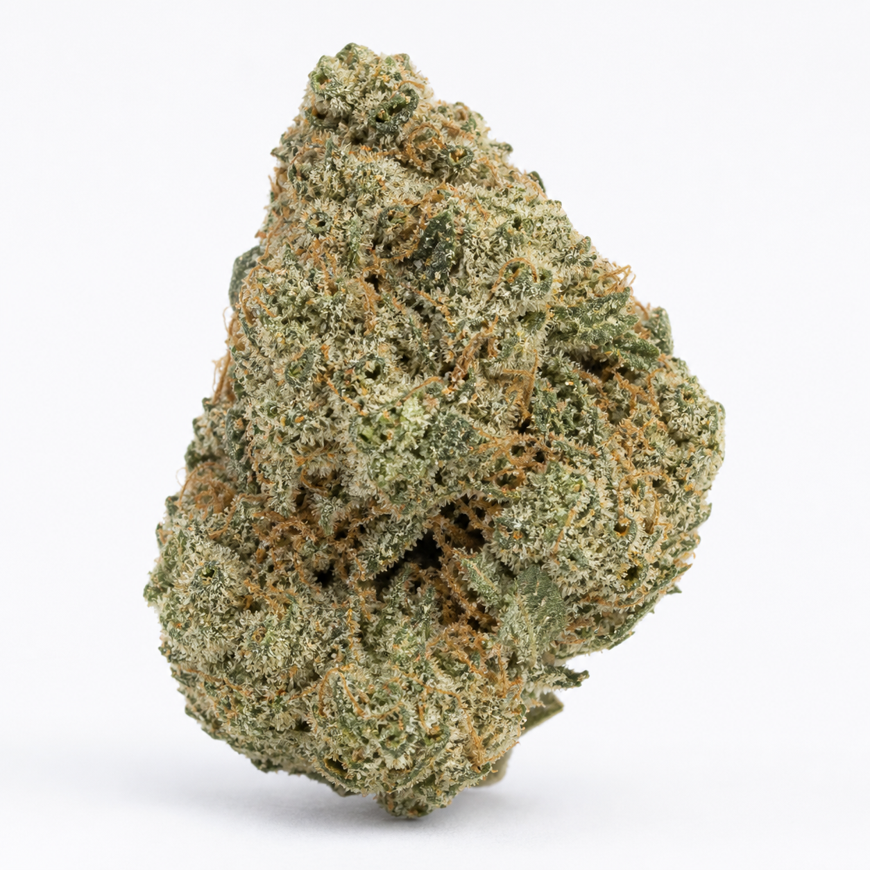 Primer plano de un cogollo de Auto Original Glue de Nirvana Seeds, verde con filamentos anaranjados y superficie resinosa.