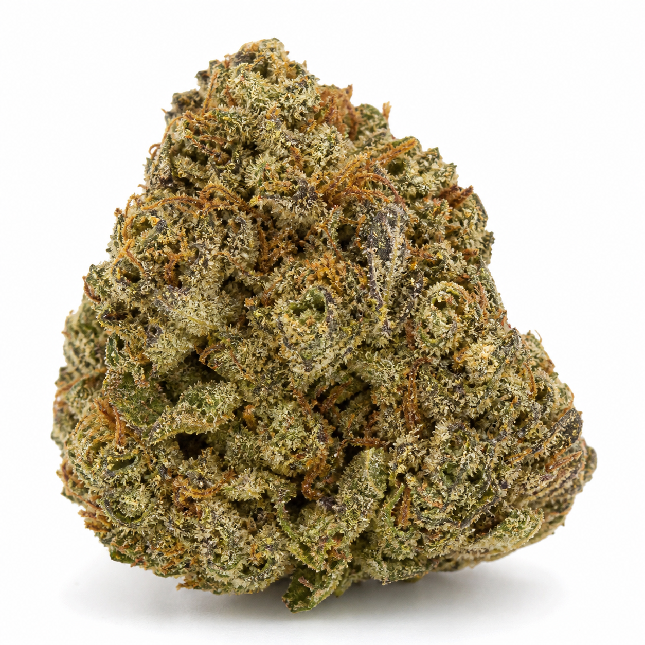 Cogollo de Automaria II de Paradise Seeds, de forma cónica, con tonos verdes y morados, pistilos anaranjados y abundantes tricomas claros.