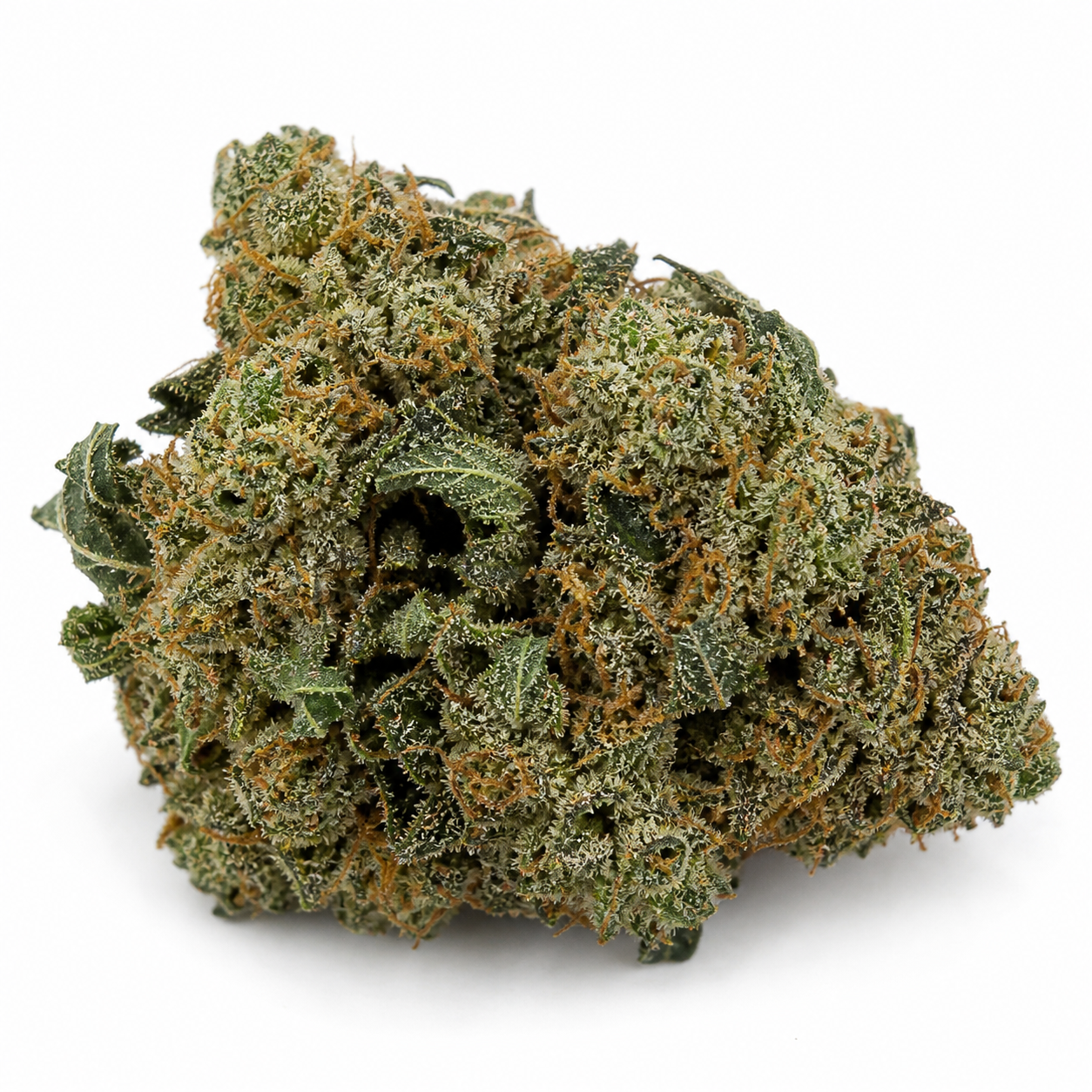 Cogollo de Magic Bud Feminizada en primer plano, con hojas verdes, filamentos anaranjados y superficie cristalina sobre fondo blanco.
