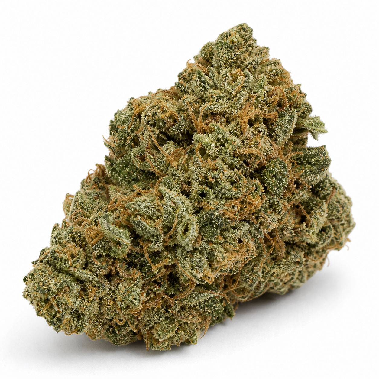 Primer plano de un cogollo de Bruce Banner 3 Auto de PEV Seeds, verde con filamentos anaranjados y abundantes puntos blanquecinos. Primer plano de un cogollo de Bruce Banner 3 Auto de PEV Seeds, verde con filamentos anaranjados y abundantes puntos blanquecinos.