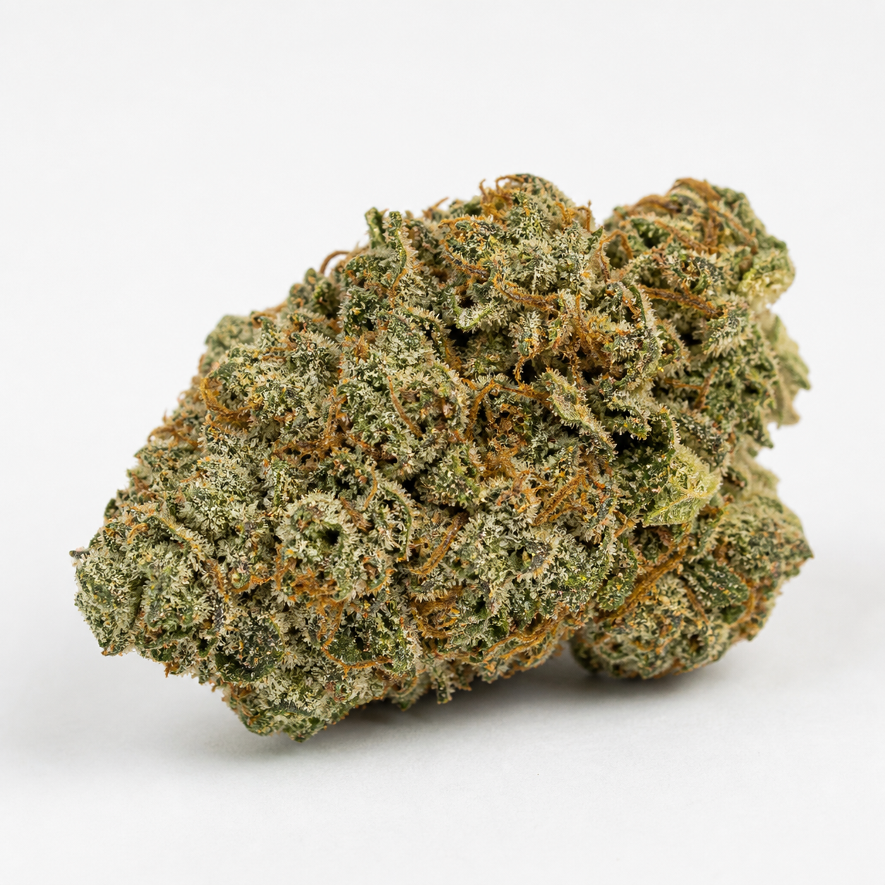Cogollo de Durban Poison Fast Flowering de cerca, con tonos verdes, pistilos anaranjados y recubrimiento blanquecino sobre fondo blanco.