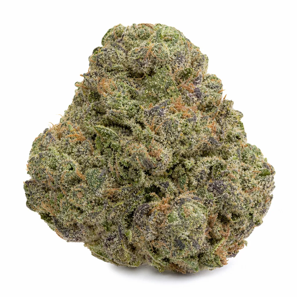 Cogollo de Pineapple Express XXL Auto de PEV Seeds sobre fondo blanco, con tonos verdes y morados, filamentos anaranjados y tricomas.