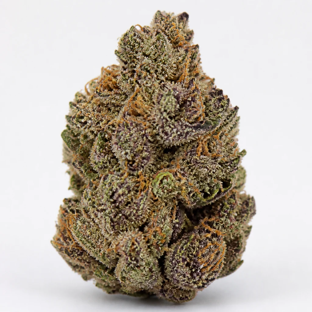 Ilustración de un cogollo compacto con tonos verdes y morados y filamentos anaranjados para la ficha de Purple Bud Automatic de White Label.