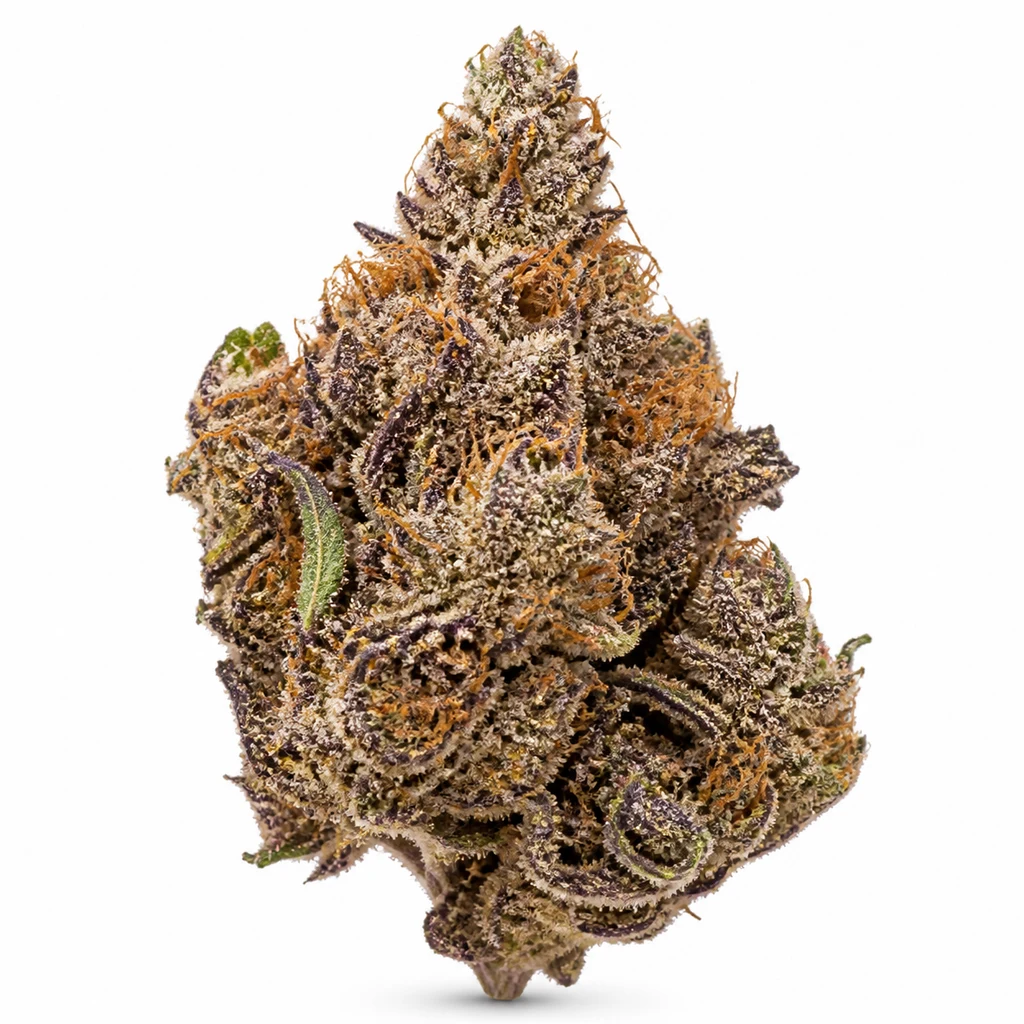 Ilustración de un cogollo con tonos morados y pistilos anaranjados para la ficha de Purple Lemonade Auto – Fast Buds.