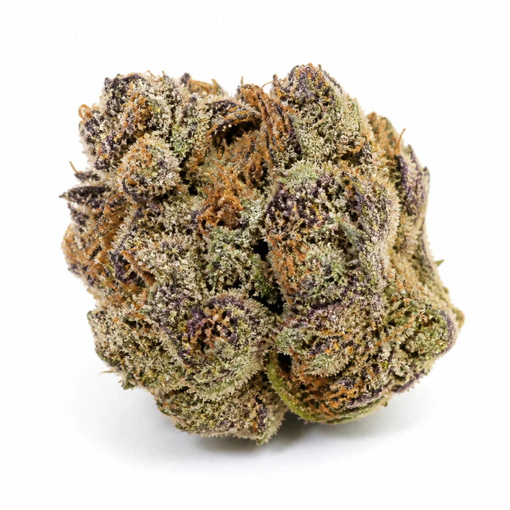 Ilustración de un cogollo redondeado con tonos verdes y morados y pistilos anaranjados, para la ficha de Purple Punch OG XL Auto®.