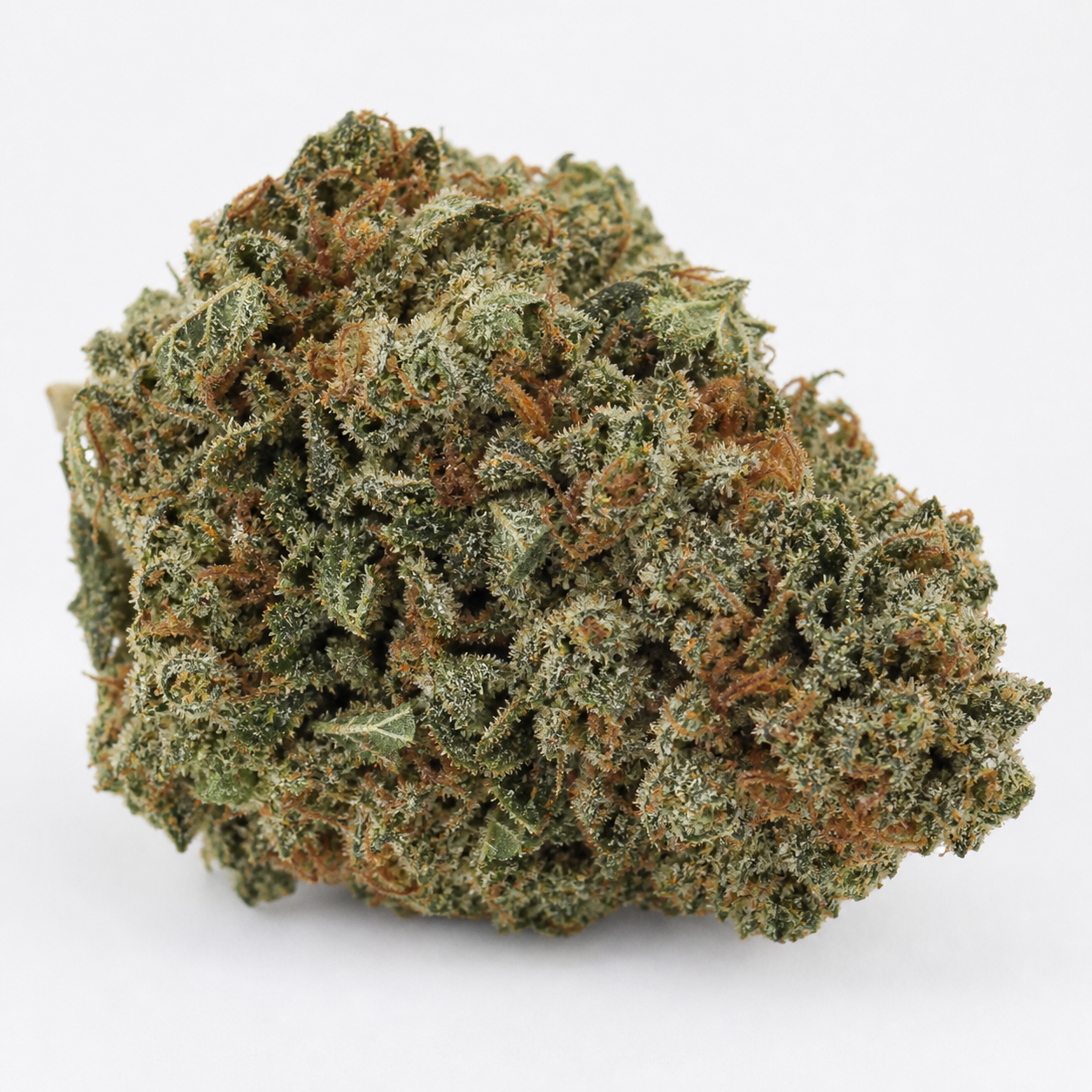 Primer plano de un cogollo de Purple Kush de PEV Seeds, verde con filamentos anaranjados y abundantes tricomas sobre fondo blanco.