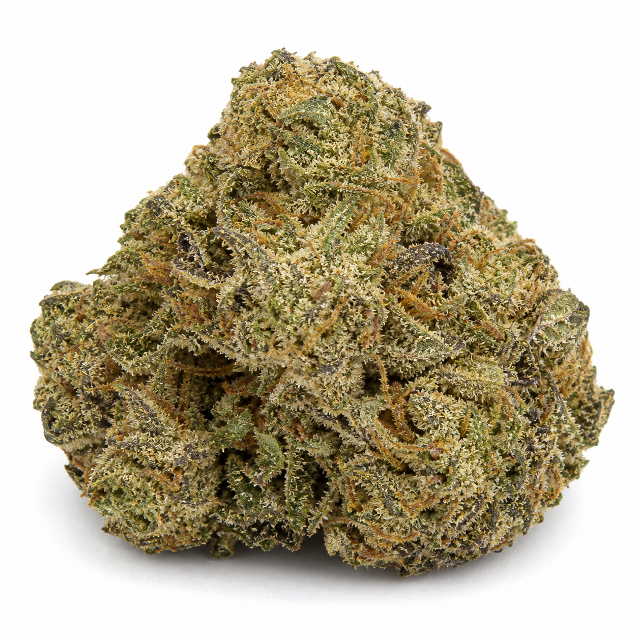 Cogollo de Auto Northern Lights CBD de forma ancha, con hojas verdes, filamentos anaranjados y superficie blanquecina sobre fondo blanco.