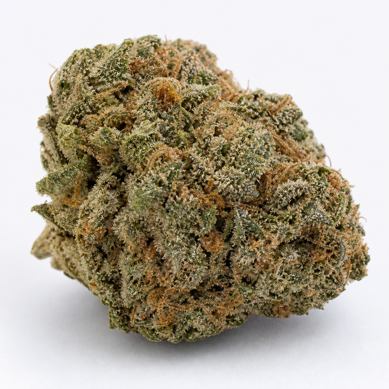 Cogollo de Auto Super OG Kush de Pyramid Seeds, compacto y redondeado, con tonos verdes, filamentos anaranjados y superficie blanquecina.