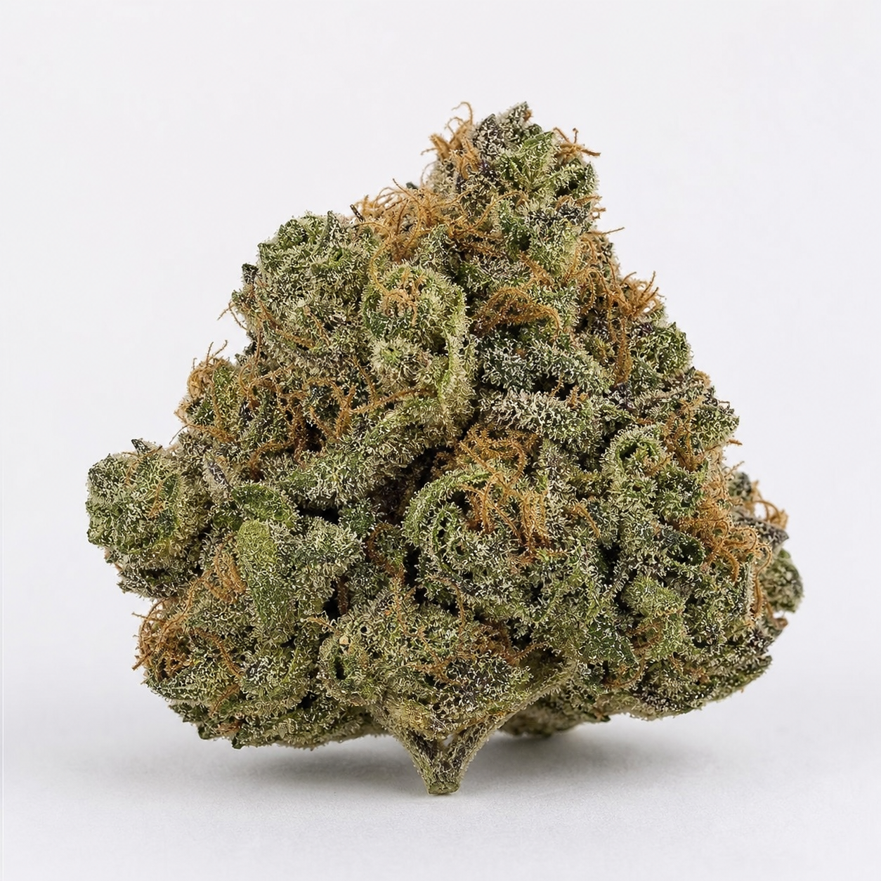 Cogollo de HulkBerry Automatic de Royal Queen Seeds sobre fondo claro, de forma cónica, con hojas verdes y filamentos anaranjados.