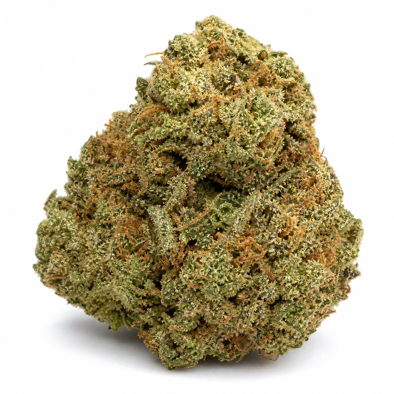 Cogollo de Ruderalis Skunk de Sensi Seeds en primer plano, con tonos verdes, filamentos anaranjados y superficie cubierta de tricomas.