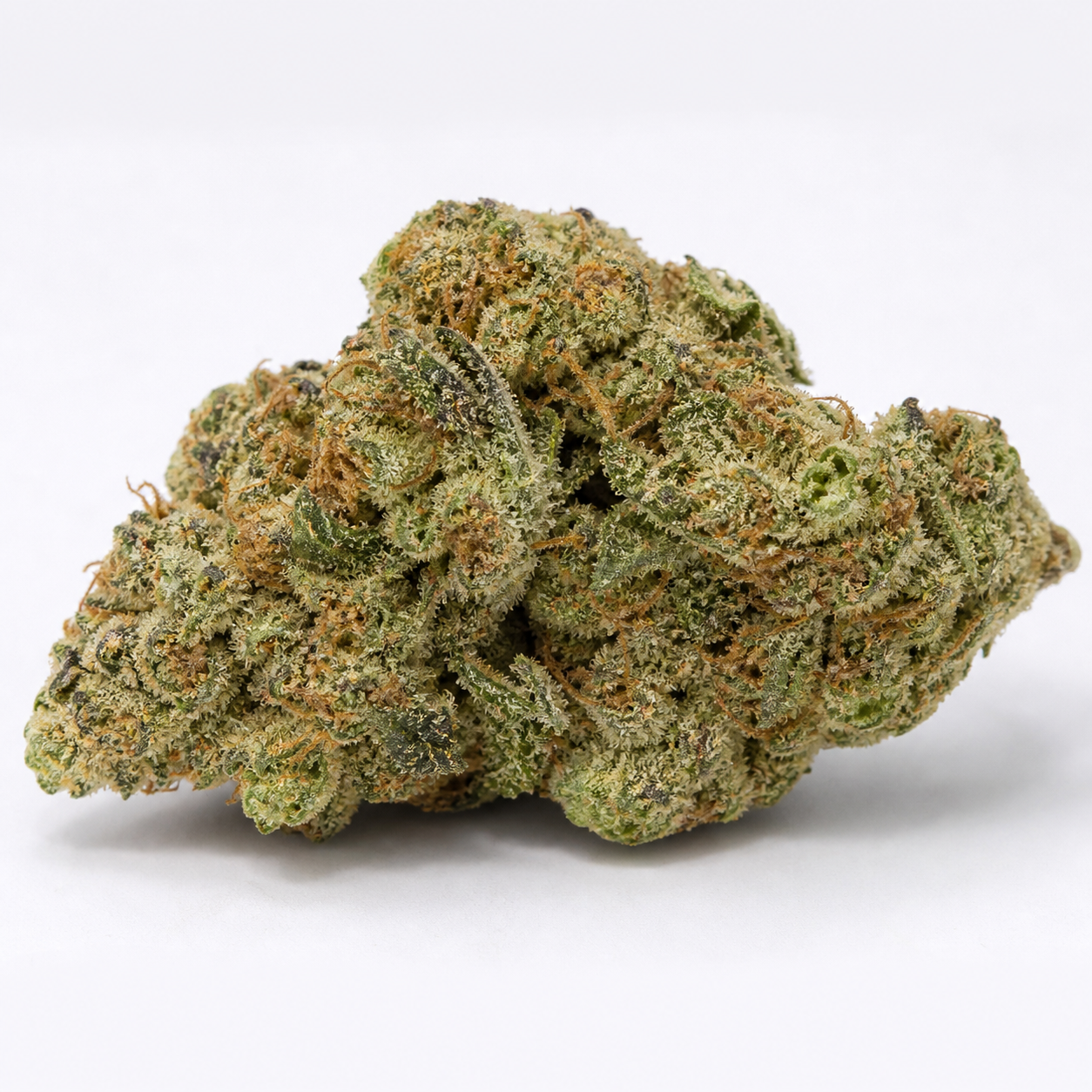 Cogollo de Sapphire OG en primer plano sobre fondo blanco, con forma ancha e irregular, tonos verdes y filamentos anaranjados.