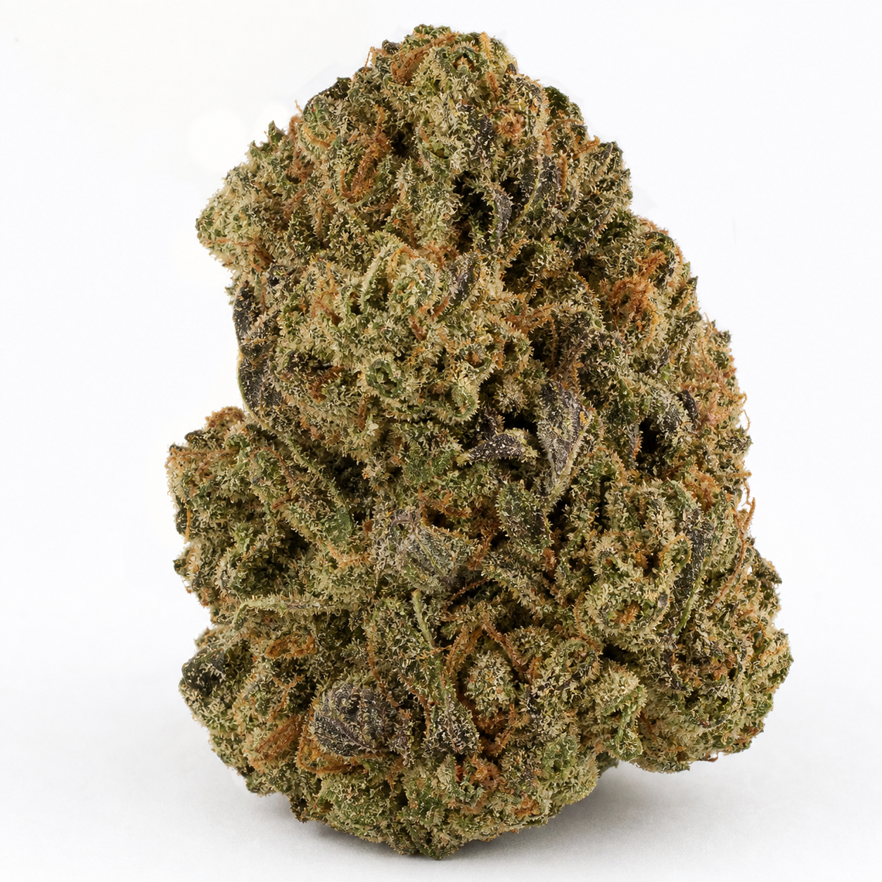 Primer plano de un cogollo de Sensi Amnesia de Sensi Seeds, con tonos verdes y oscuros, filamentos anaranjados y superficie resinosa.