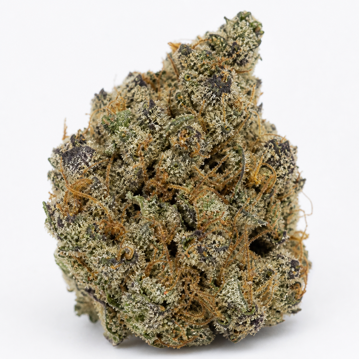 Cogollo de Black Jack Auto de Spain Seeds en primer plano, con tonos verdes y morados, pistilos anaranjados y abundantes tricomas.