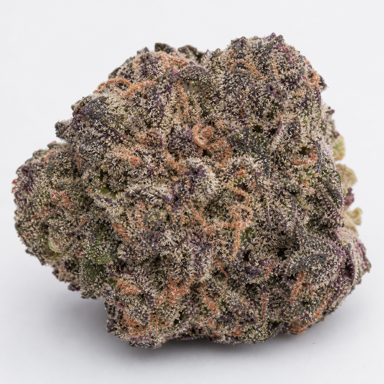 Primer plano de un cogollo de Cheese Auto de Spain Seeds, con tonos verdes y morados, pistilos anaranjados y abundantes tricomas.