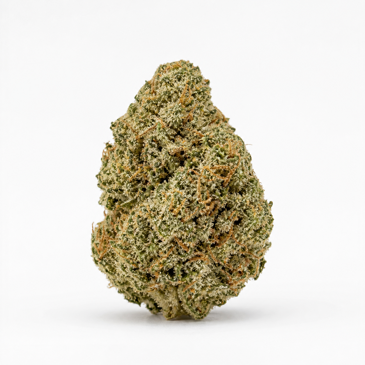 Cogollo de Chemdawg de Spain Seeds, de forma cónica y compacta, con tonos verdes, filamentos anaranjados y superficie blanquecina.