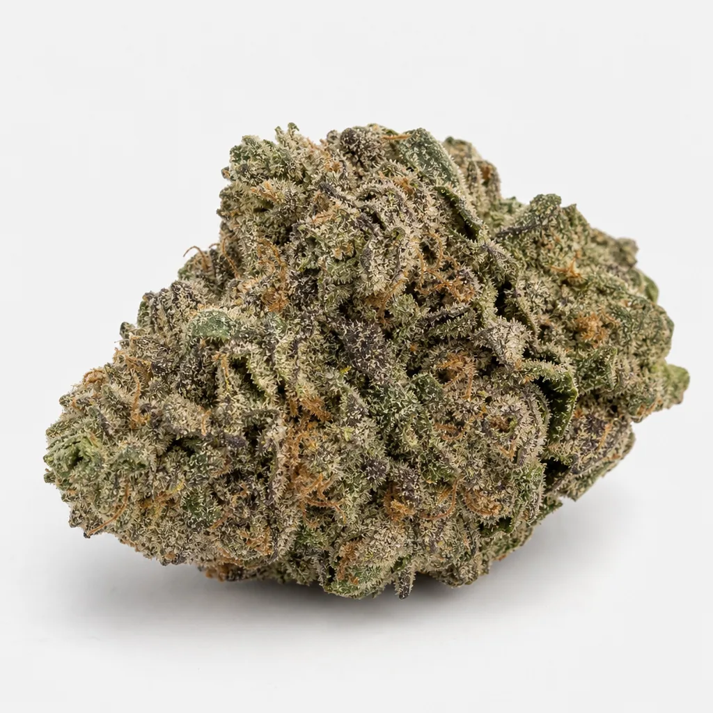 Cogollo de Cherry Pie de Spain Seeds en primer plano, con tonos verdes y morados, pistilos anaranjados y tricomas sobre fondo blanco.