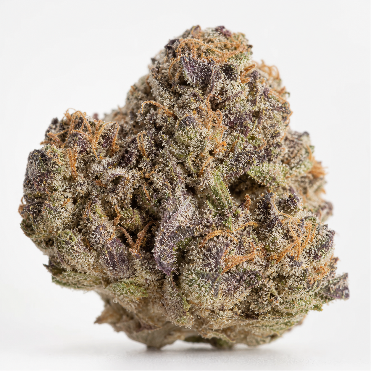 Cogollo de Do-Si-Dos Feminizada de Spain Seeds en primer plano, con tonos verdes y morados, filamentos anaranjados y tricomas claros.