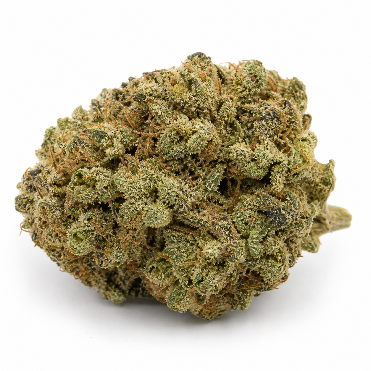Cogollo de Blackberry Auto de Spain Seeds, redondeado y verde, con zonas oscuras, filamentos anaranjados y un pequeño tallo lateral.