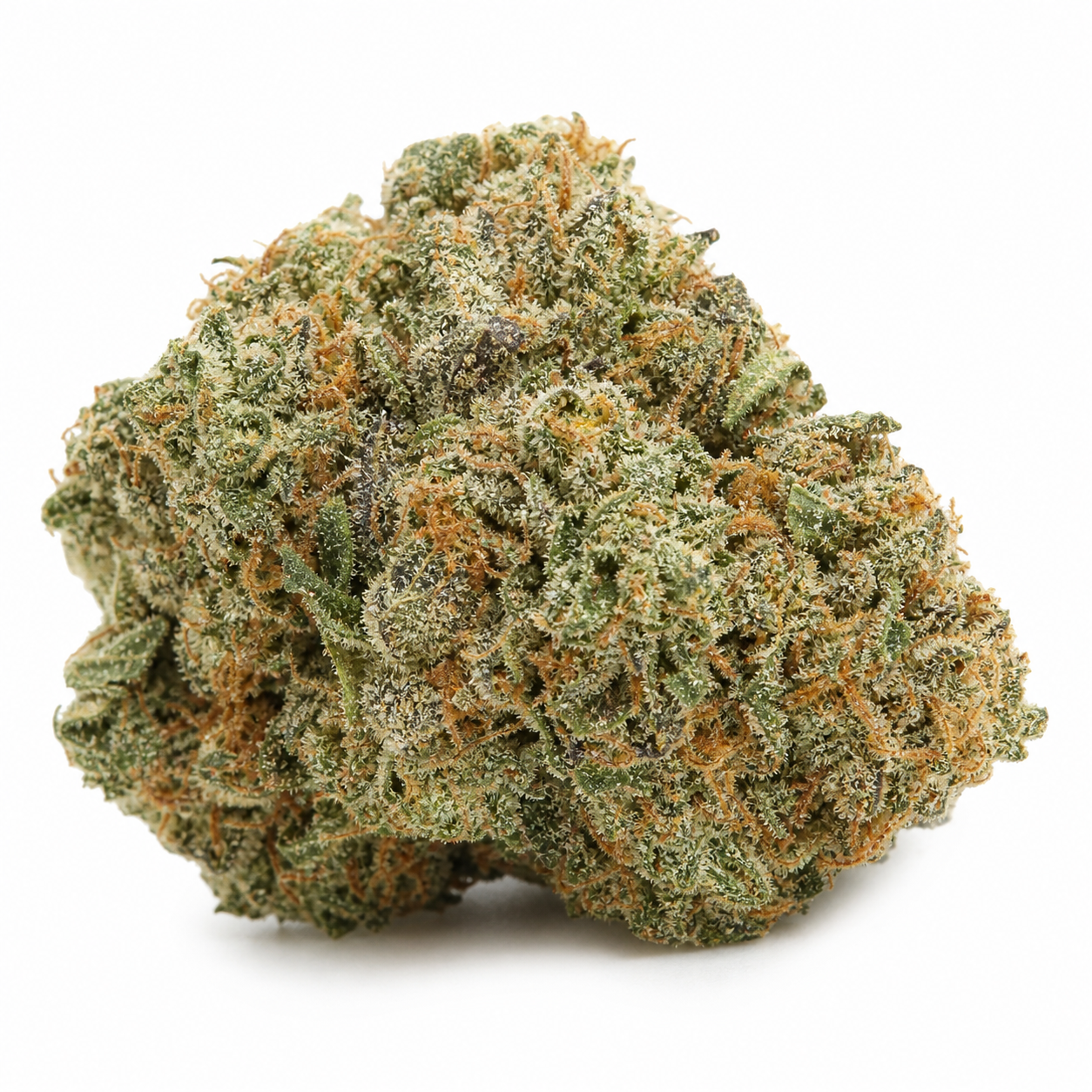 Cogollo de Candyland de Spain Seeds en primer plano, con tonos verdes, pistilos anaranjados y abundantes tricomas sobre fondo blanco.