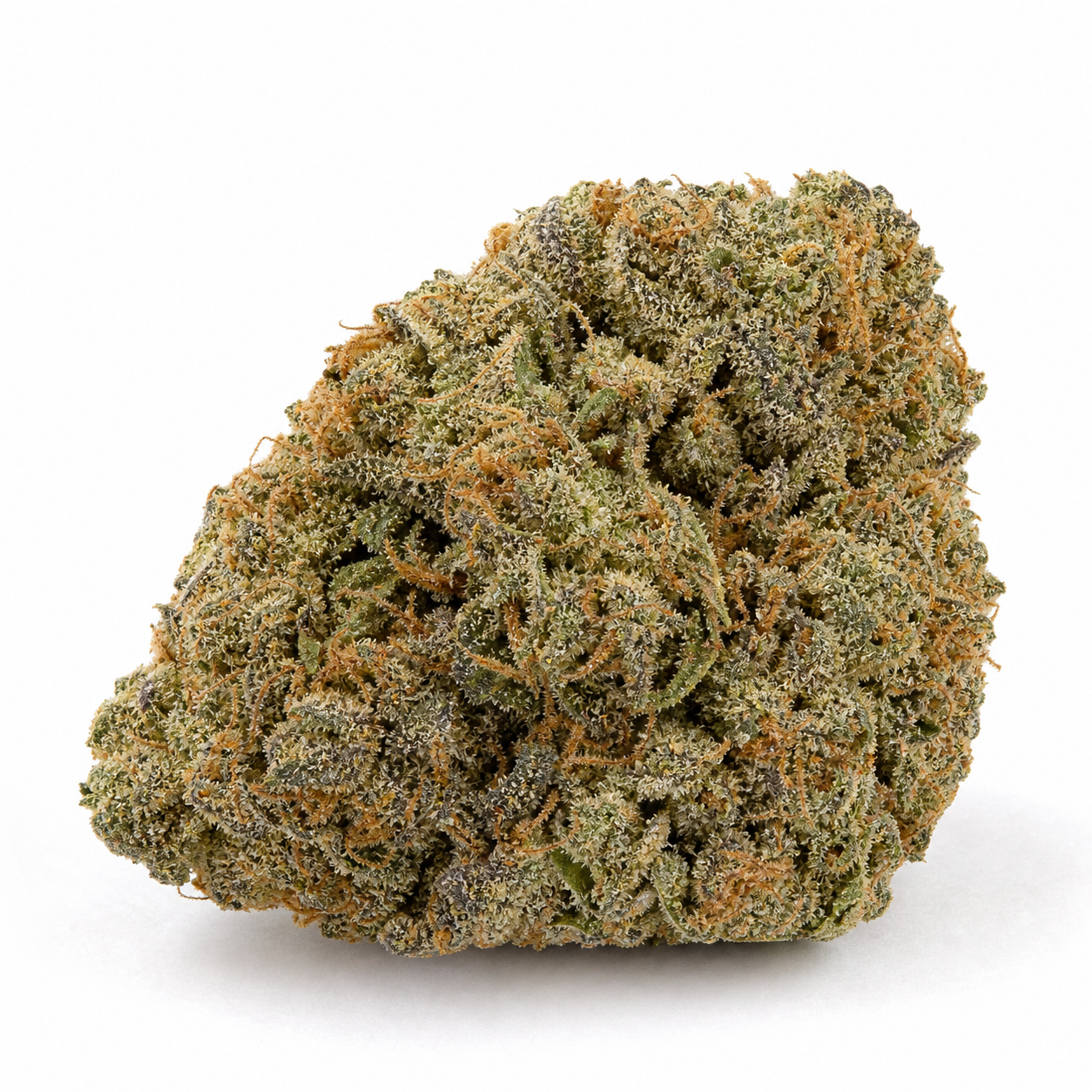 Cogollo de Chocolope XXL Auto de Spain Seeds, de forma ancha e irregular, con pistilos anaranjados y abundante recubrimiento blanquecino.