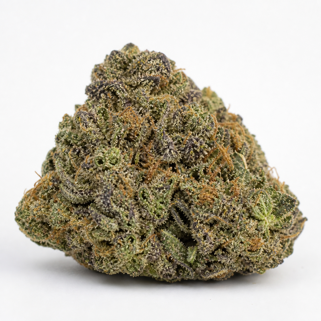 Cogollo de G13 Auto de Spain Seeds en primer plano, ancho y compacto, con tonos verdes y morados y filamentos naranjas sobre fondo blanco.