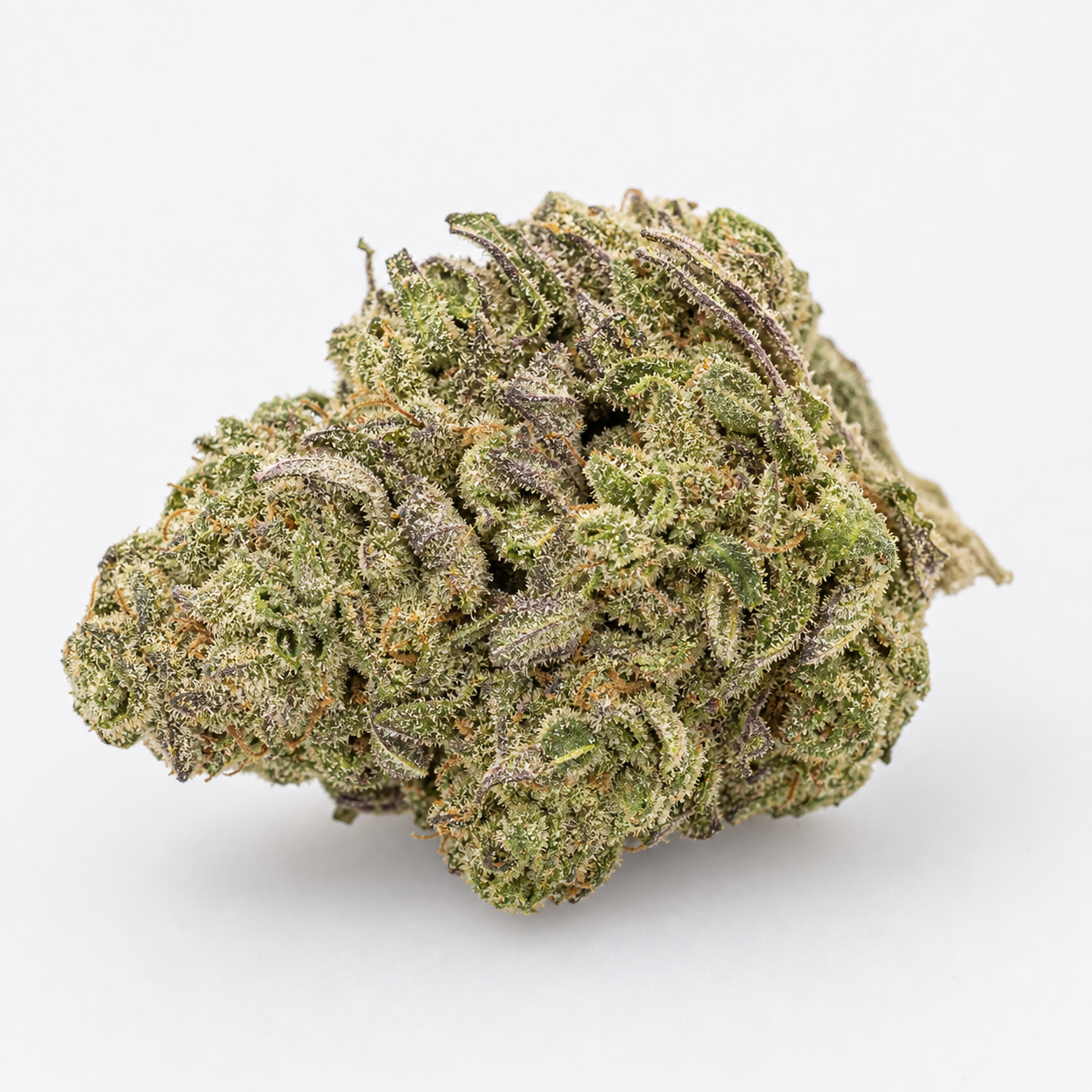 Cogollo de MK Ultra de Spain Seeds en primer plano, con hojas verdes y moradas, filamentos anaranjados y superficie blanquecina.