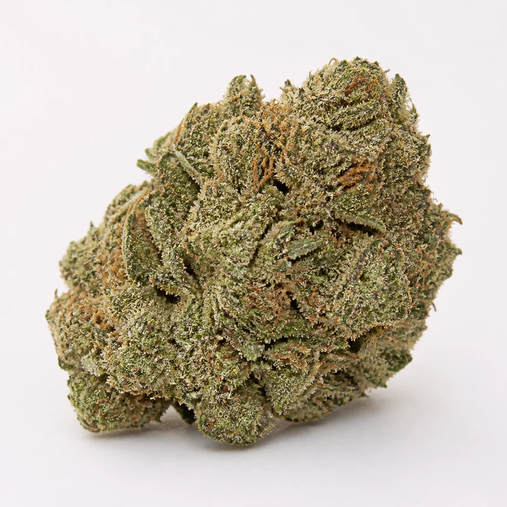 Ilustración de un cogollo compacto verde con filamentos anaranjados y superficie blanquecina para la ficha de Sticky Dream Auto.