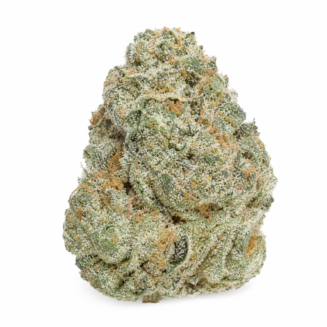 Cogollo de Crystal Candy F1 Fast Version de Sweet Seeds, con abundantes tricomas blanquecinos y pistilos anaranjados sobre fondo blanco.