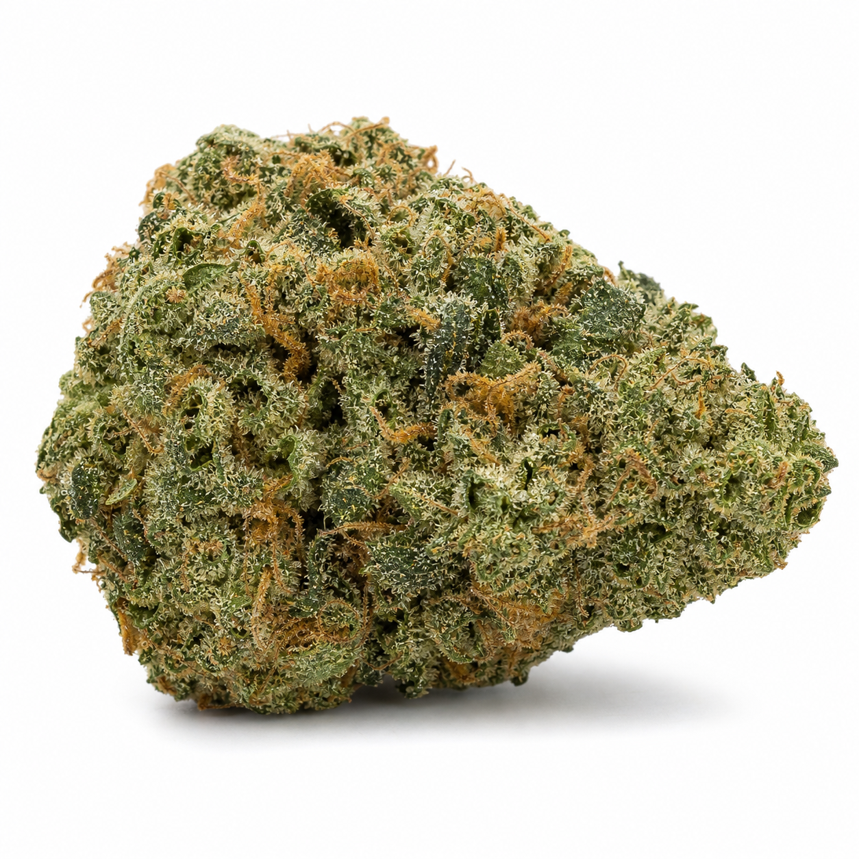 Cogollo de OG Kush Auto White Label – Sensi Seeds, ancho y compacto, con tonos verdes, filamentos naranjas y superficie blanquecina sobre fondo blanco.