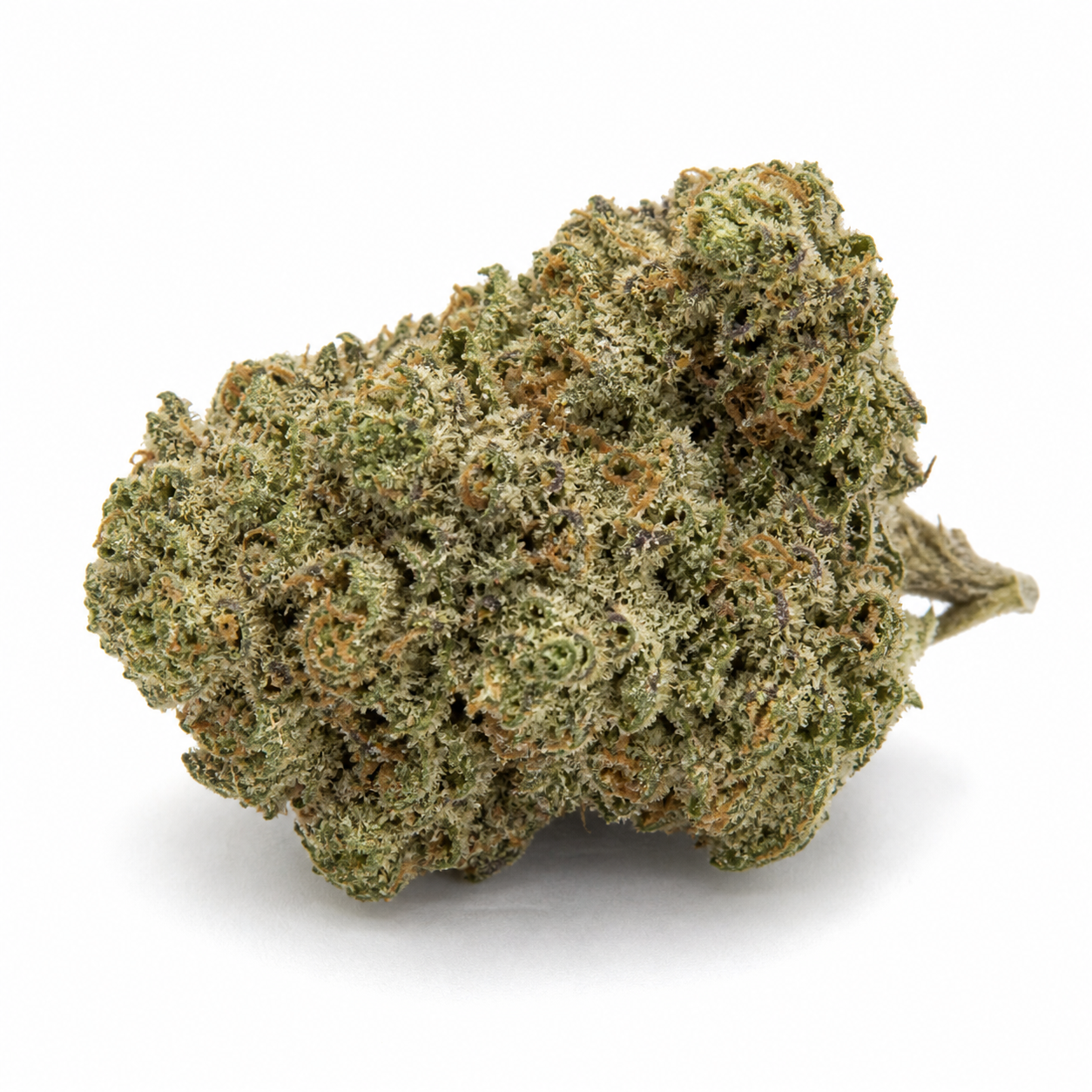 Cogollo de OG Kush Feminizada en primer plano, de forma ancha e irregular, con tonos verdes, pistilos anaranjados y tallo hacia la derecha.