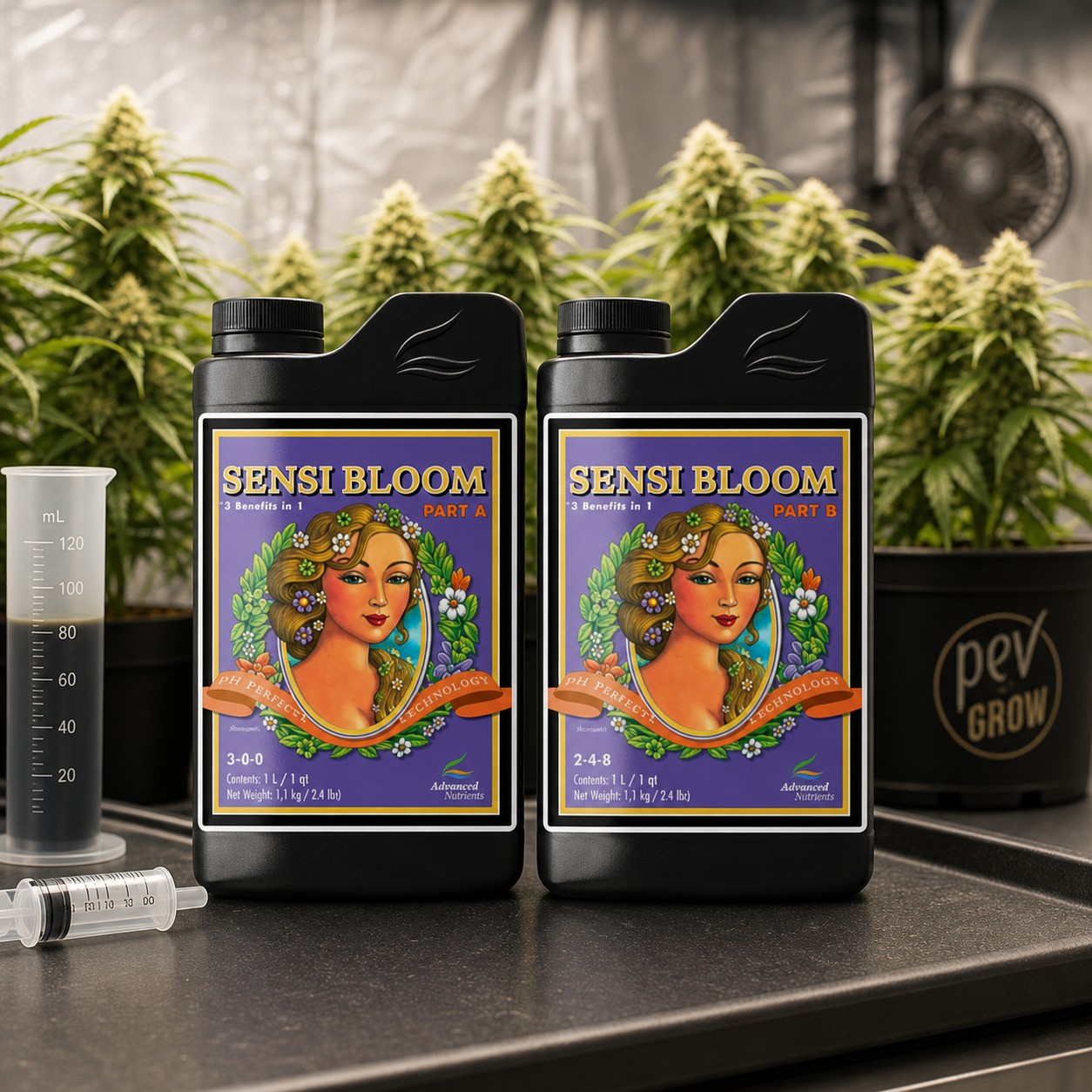 Envases Sensi Bloom Part A y Part B con etiquetas moradas, junto a una probeta y una jeringa, con plantas de cannabis al fondo.