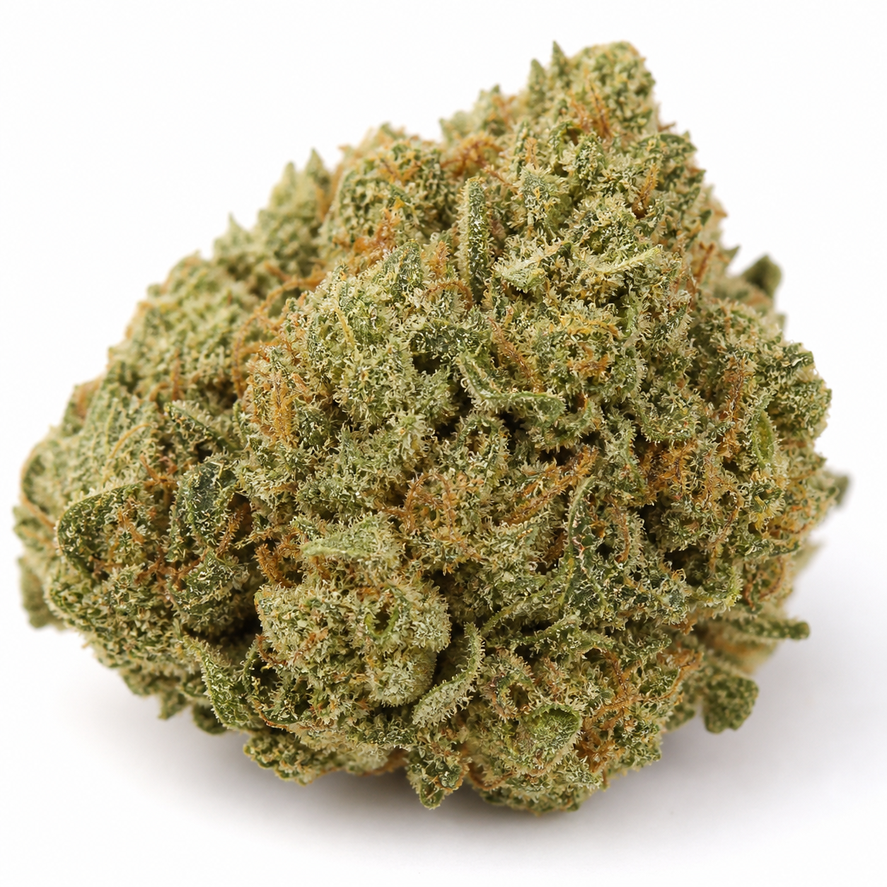 Primer plano de un cogollo de Sensi Skunk Auto de Sensi Seeds, verde y compacto, con pistilos anaranjados y tricomas sobre fondo blanco.