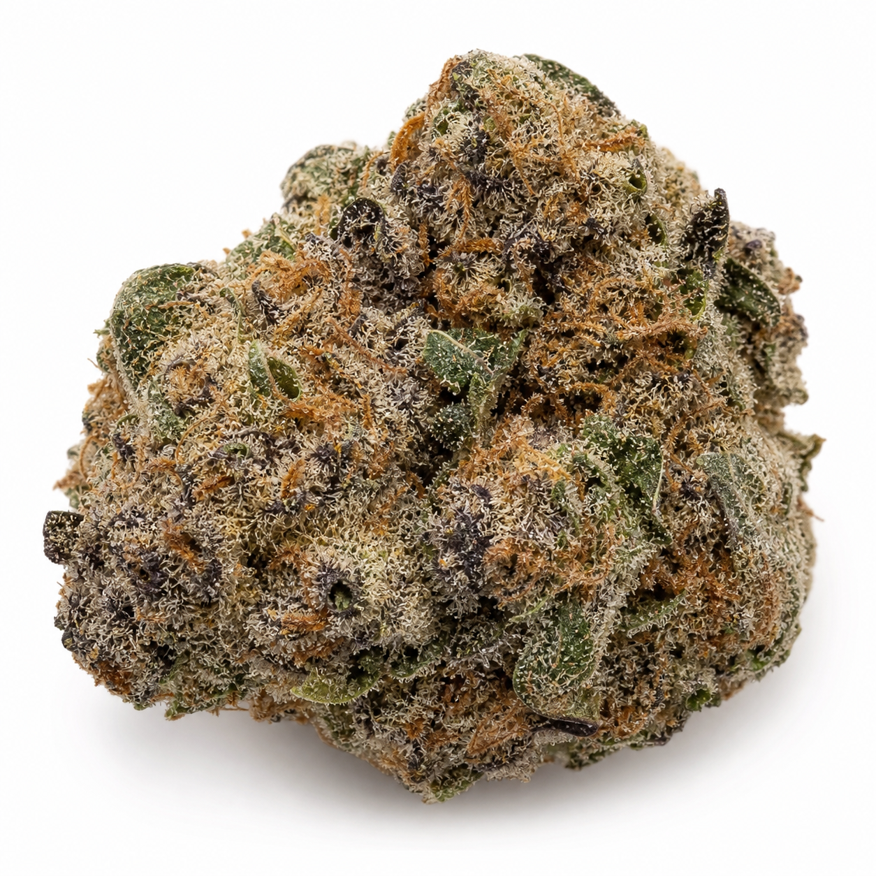 Cogollo de Sensible Star de forma compacta y redondeada, con hojas verdes y moradas, filamentos anaranjados y abundantes tricomas.