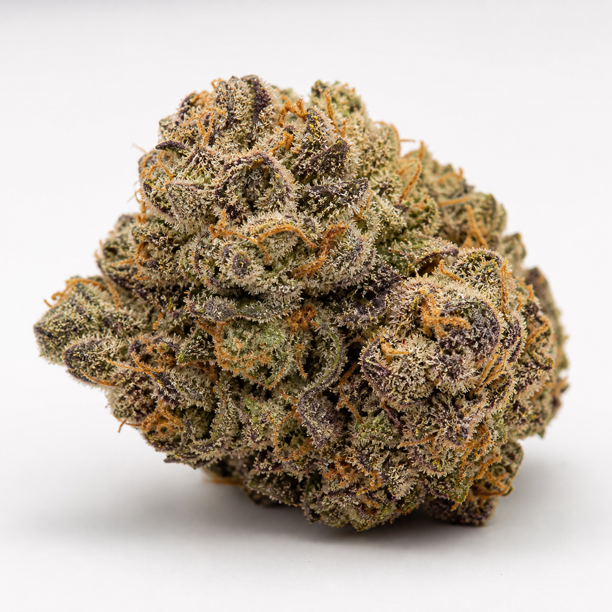 Cogollo de Silver Haze de Vision Seeds, con tonos verdes y morados, filamentos anaranjados y superficie blanquecina sobre fondo blanco.