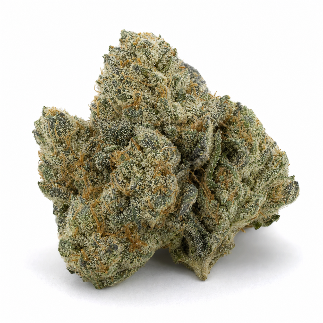 Cogollo de Skunk XL de Royal Queen Seeds en primer plano sobre fondo blanco, con tonos verdes, filamentos anaranjados y tricomas claros.